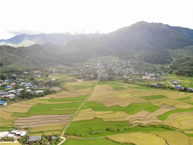 Được mùa lúa, xã Ngọc Chiến, huyện Mường La, tỉnh Sơn La, vui đón Tết độc lập (01/9/2022)